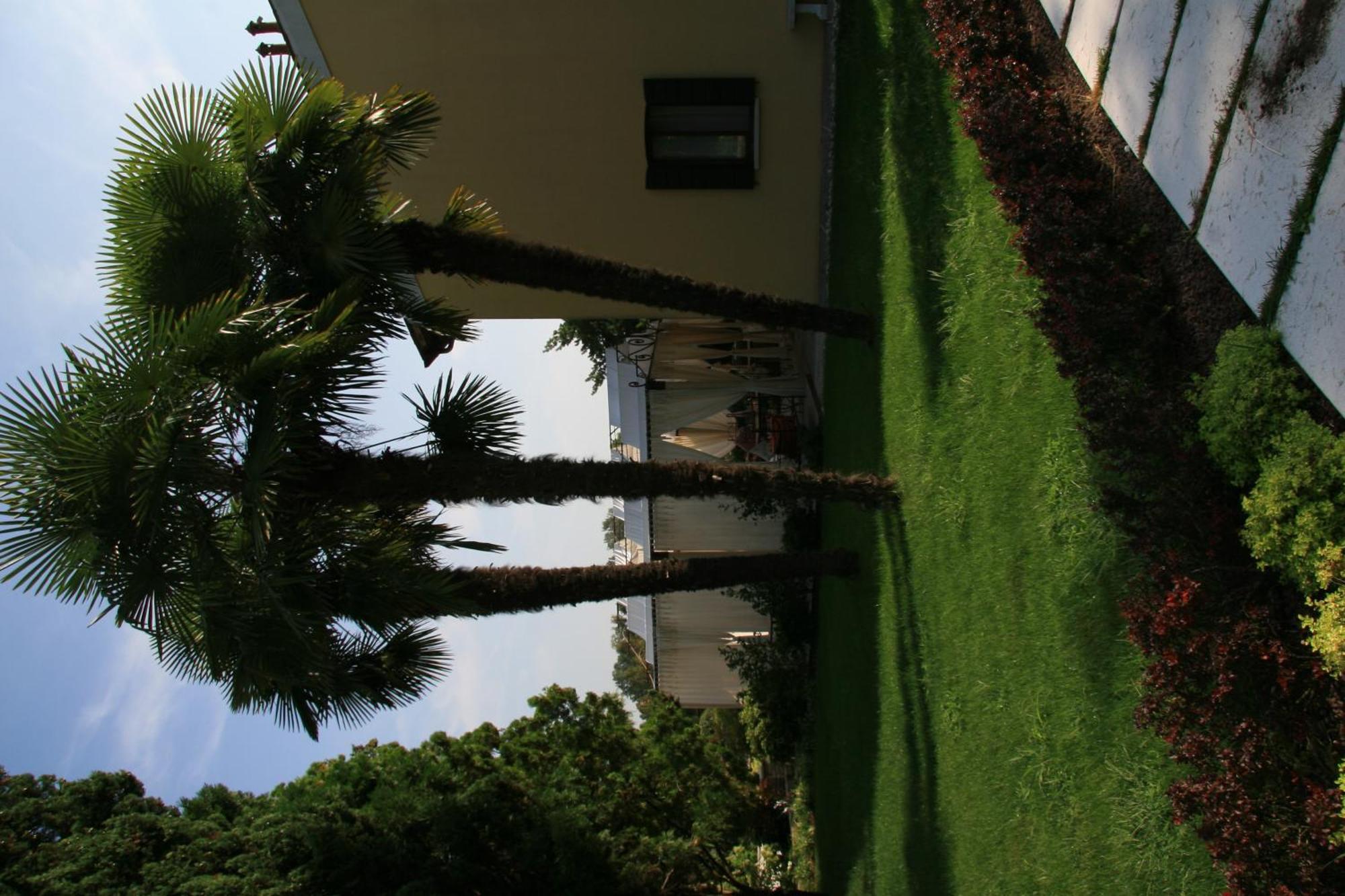 Hotel La Rescossa Mira Extérieur photo